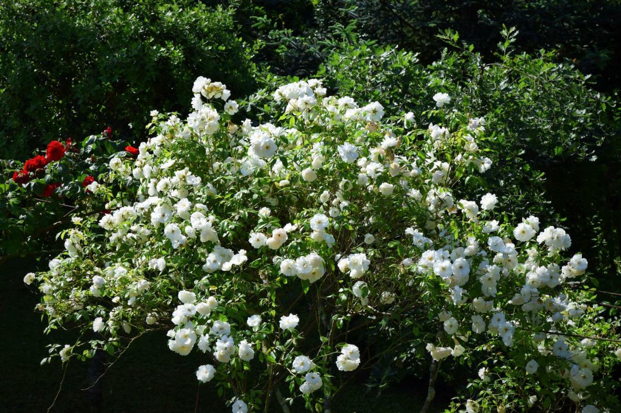 L'Intemporelle B&B Le Buisson-de-Cadouin Екстериор снимка